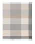 Preview: Biederlack cashmere plaid - Pleasant stone
