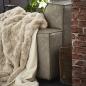 Preview: Bugatti - Felldecke beige
